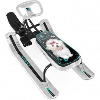 Снегокат TECH TEAM ТИМКА СПОРТ 1+ ТС1+/БЛ Снегокат TECH TEAM ТИМКА СПОРТ 1+ ТС1+/БЛ